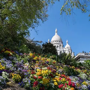 https://paris-16-studio-cosy-tour-eiffel-auteuil.fr-paris.fr